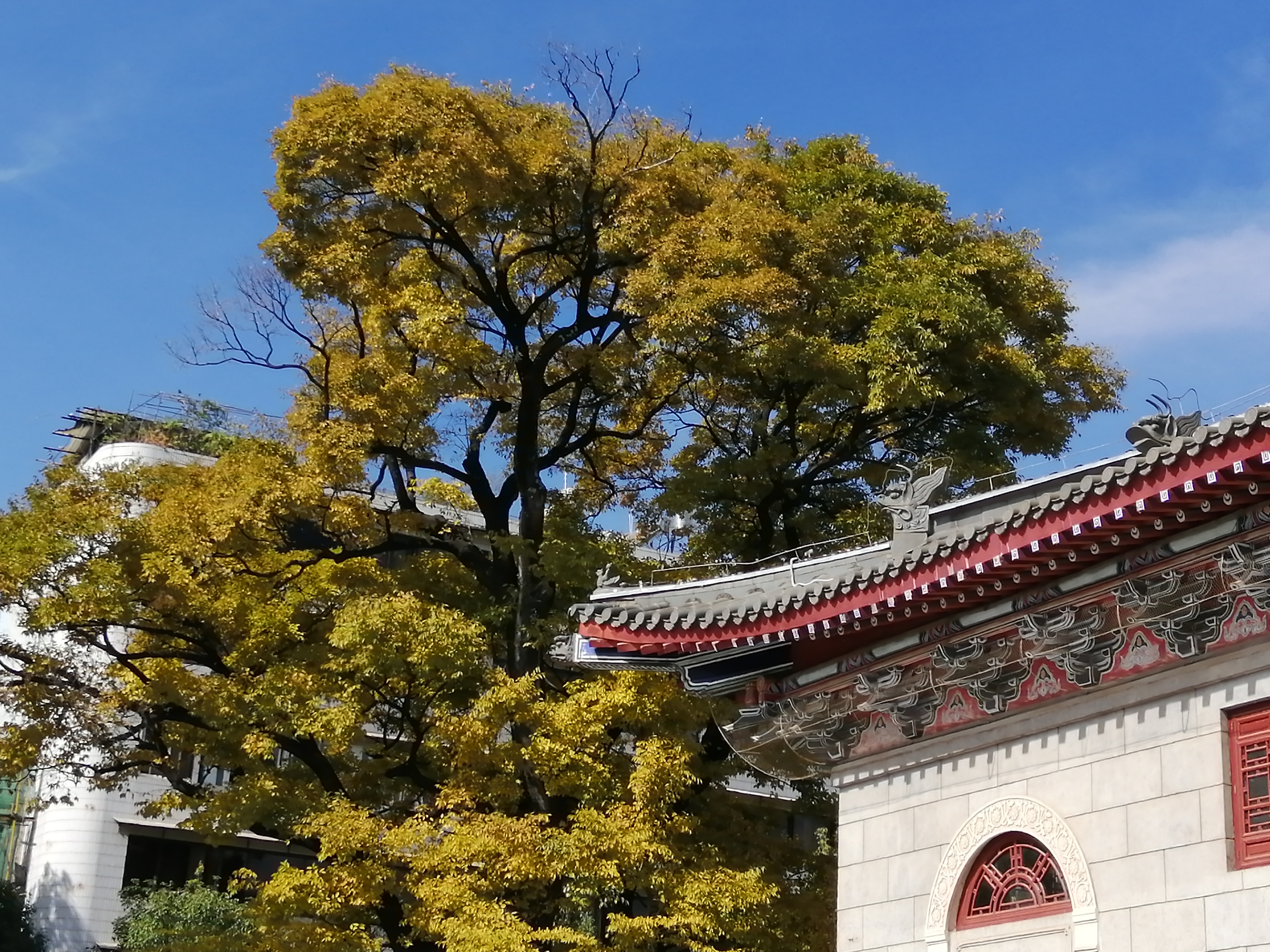 云南沐王府的前世今生,沐王府古滇国宝藏