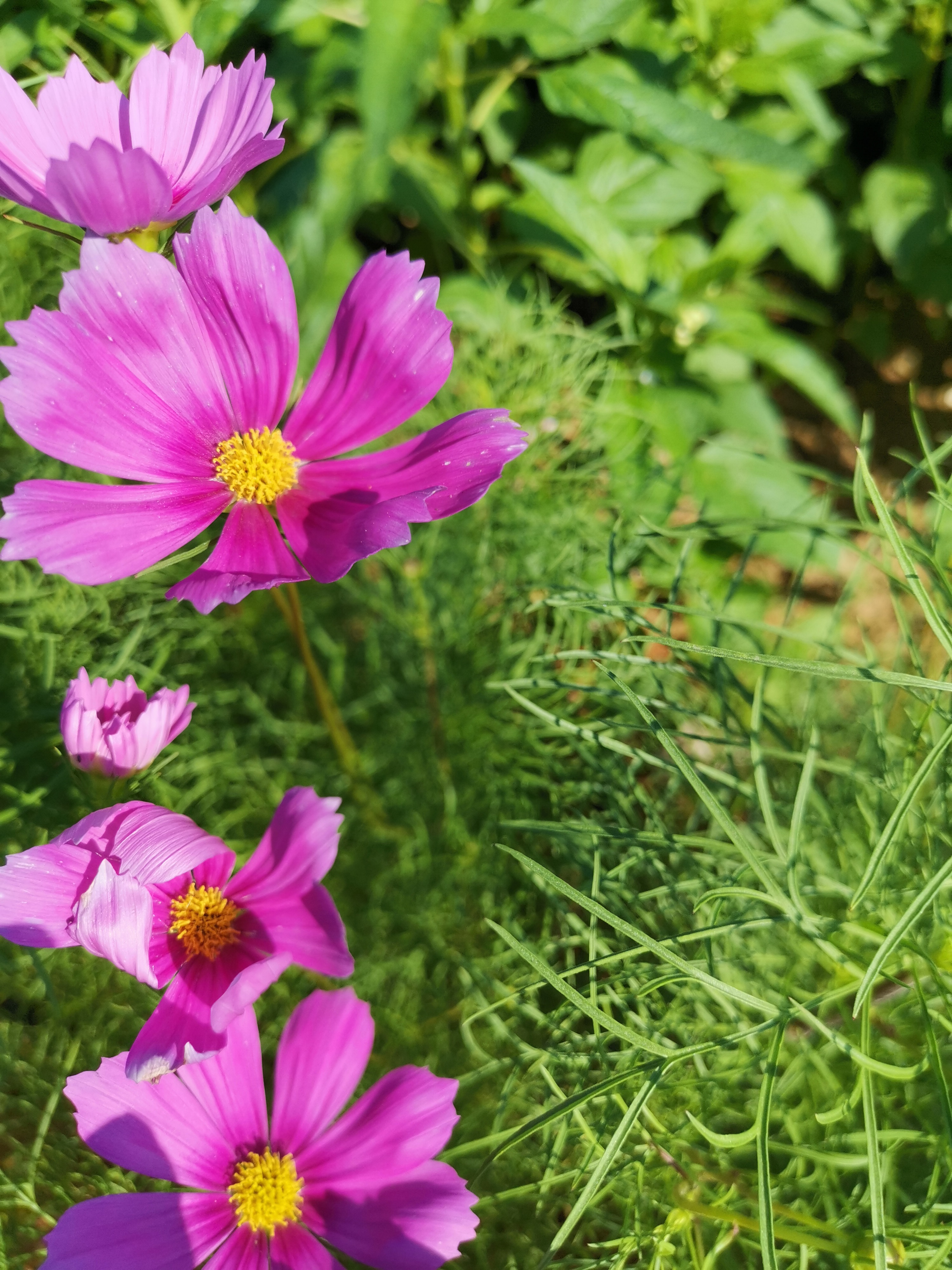宸︽墜闈掓槬鍙虫墜鐖辨儏,宸︽墜瀛︿笟鍙虫墜鐢熸椿