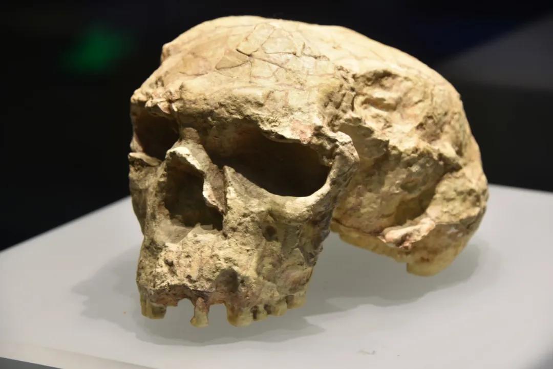 历史故事卧薪尝胆的主人公是谁,历史上卧薪尝胆的主人公是谁