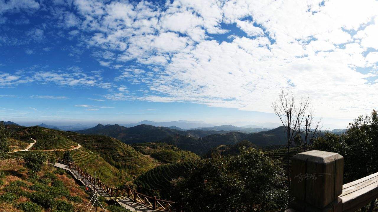 别让不好意思害了你视频,别让不好意思害了你图片