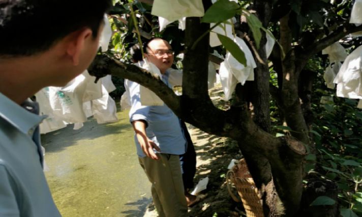 银泰之光|攀枝花银泰城“拼命三郎”陈丽华