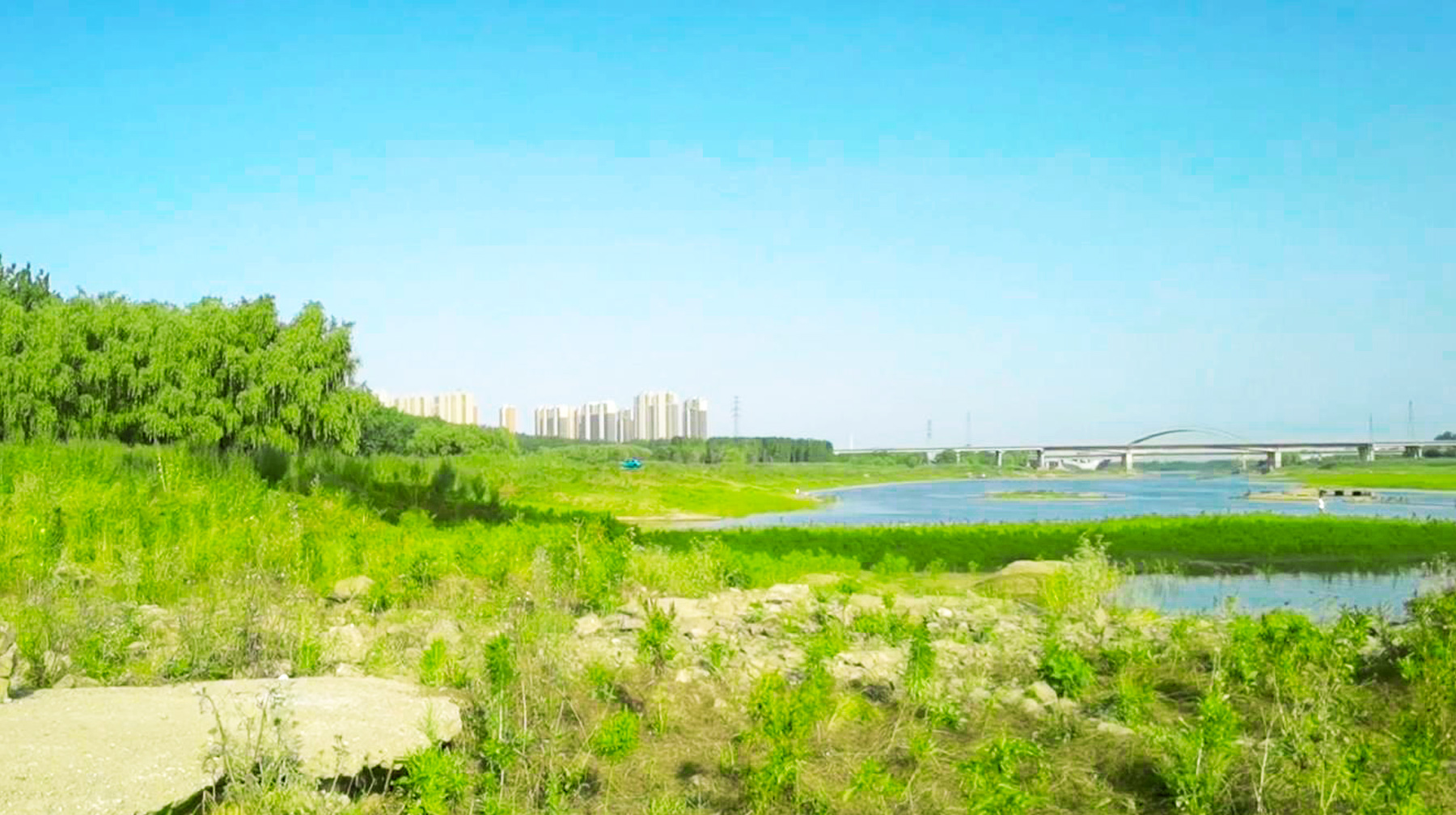 武汉长江江心惊现一条小路,武汉长江大桥下面江边