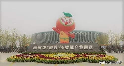 眉县猕猴桃分拣招聘,眉县猕猴桃园区招聘