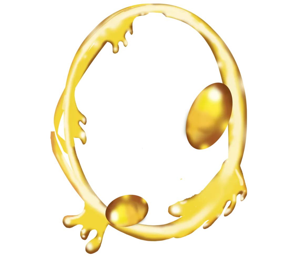 一文带你读懂ib课程全介绍,一文带你了解高新技术企业