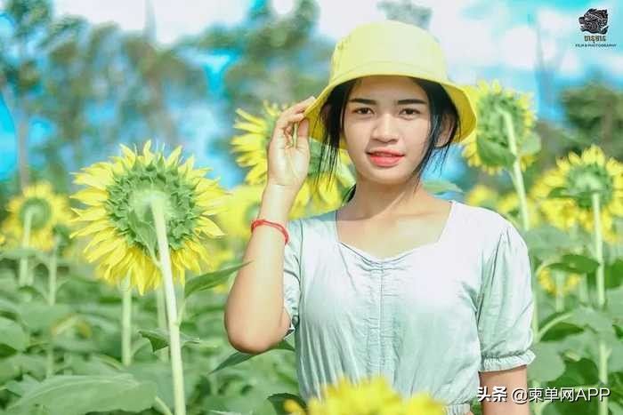 柬埔寨波贝不止有“菠菜”，还有美女和花海
