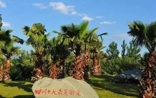 西昌邛海湿地公园旅游线路,西昌邛海湿地属于哪个省