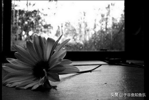 儿女婚姻不顺做父母的该怎么办,对于油盐不进的女人怎么办