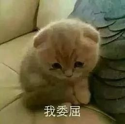 老公对你好不好吵架就知道了,老公对你很好但是一吵就对你动手