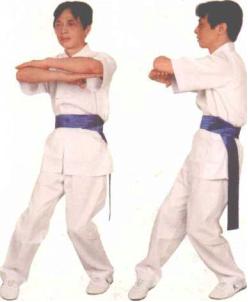 巧妙防守从短制长_咏春拳实用的攻防技术能巧妙地化解腿技