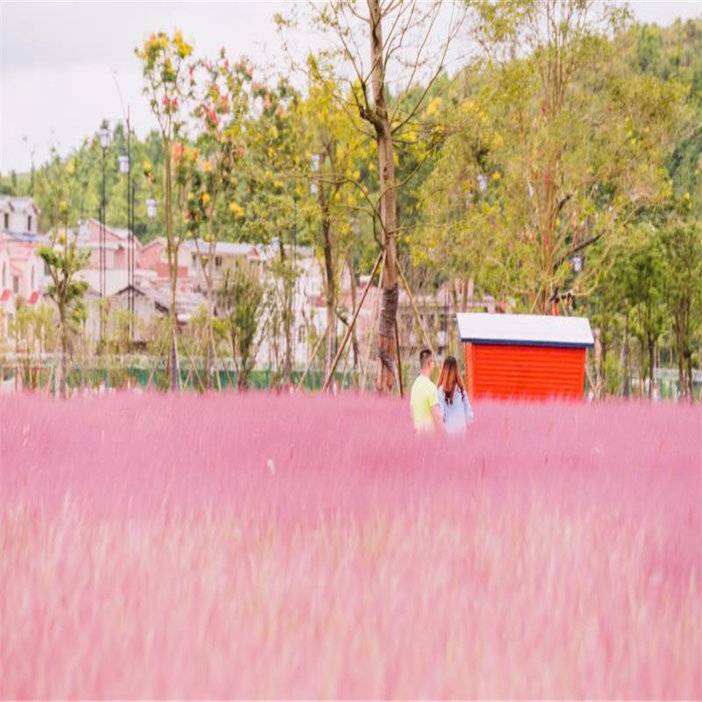 安顺旅游景点十里荷廊晚上演出,安顺山里江南灯会