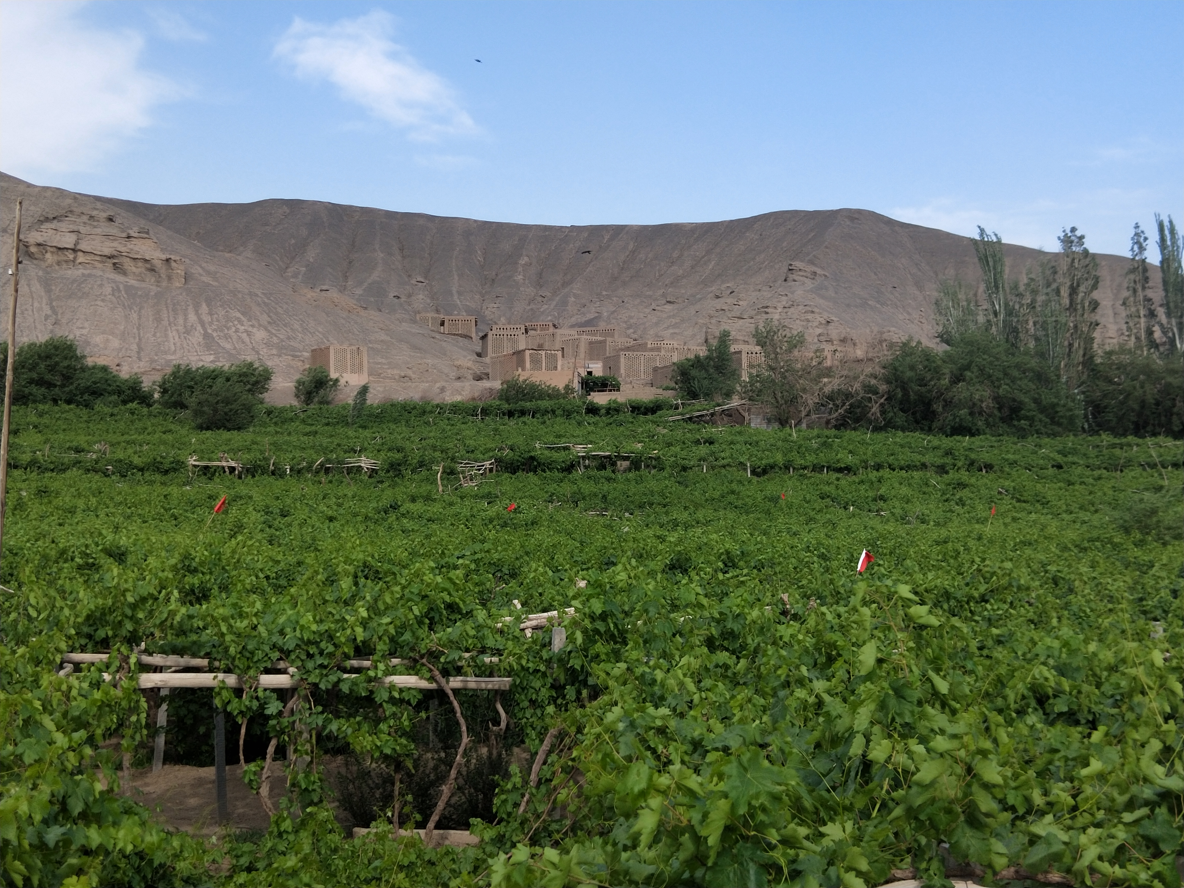 吐鲁番特点和气候,吐鲁番气候和风土人情