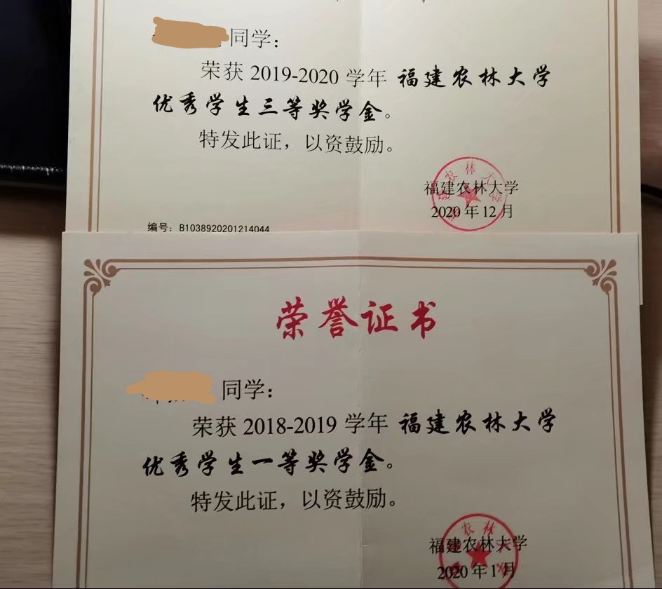 我眼中的茶,茶学专业出来都干嘛了