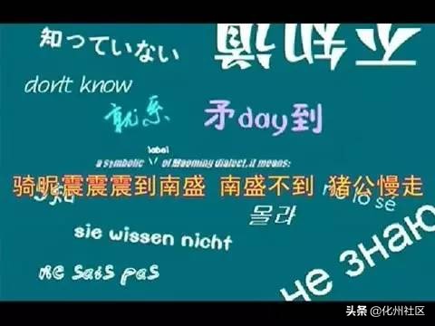 化州最有名的人是谁,化州什么有名