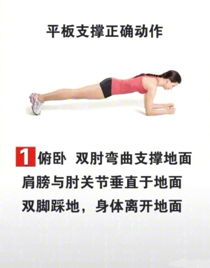 平板支撑30天减肥训练,平板支撑减肥好还是跑步减肥好