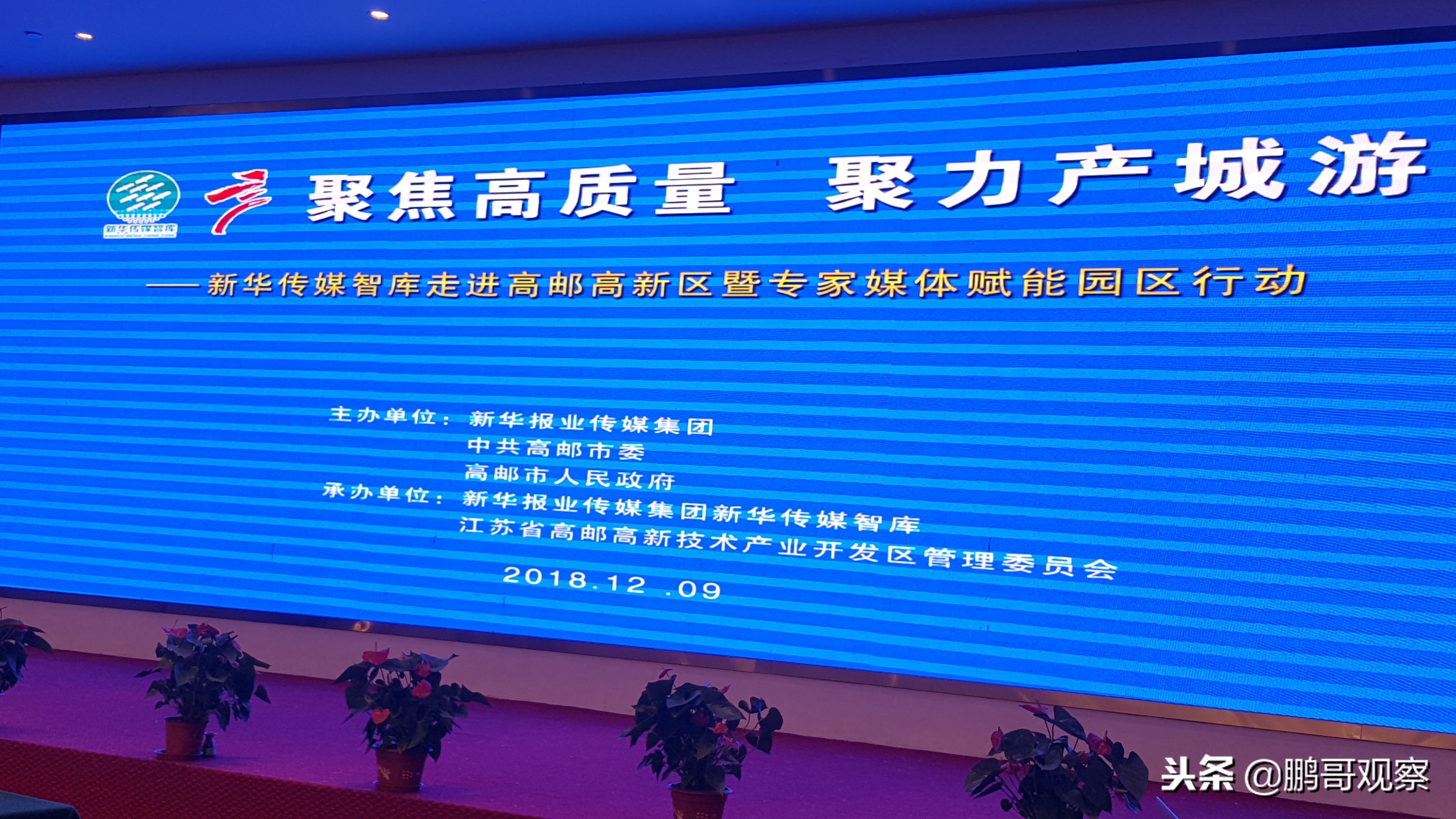 高邮高新区建设,高邮打造乡村振兴新样板