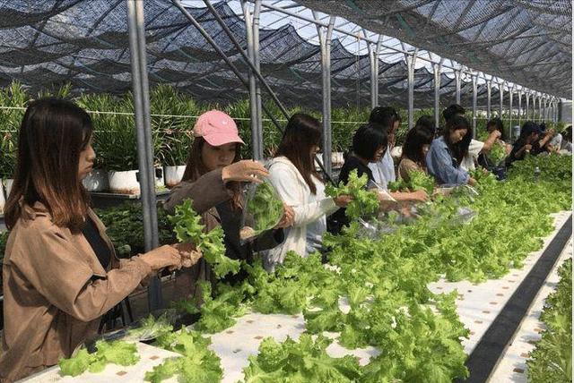 农学专业考研究生容易吗,孩子学了农学真的没用了吗