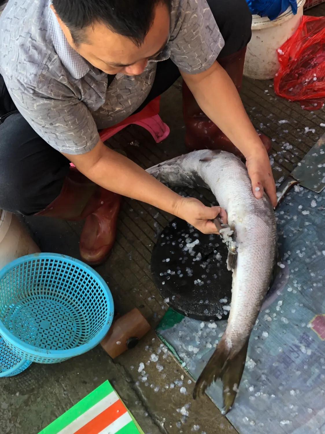 企沙海港小镇,企沙网红小镇叫什么