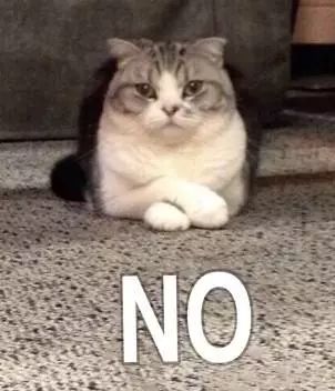 小科谈科学,小科说科普