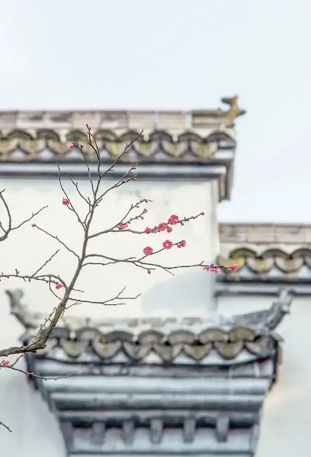 作文素材神仙开头结尾高中议论文,万能作文素材开头30篇结尾46篇