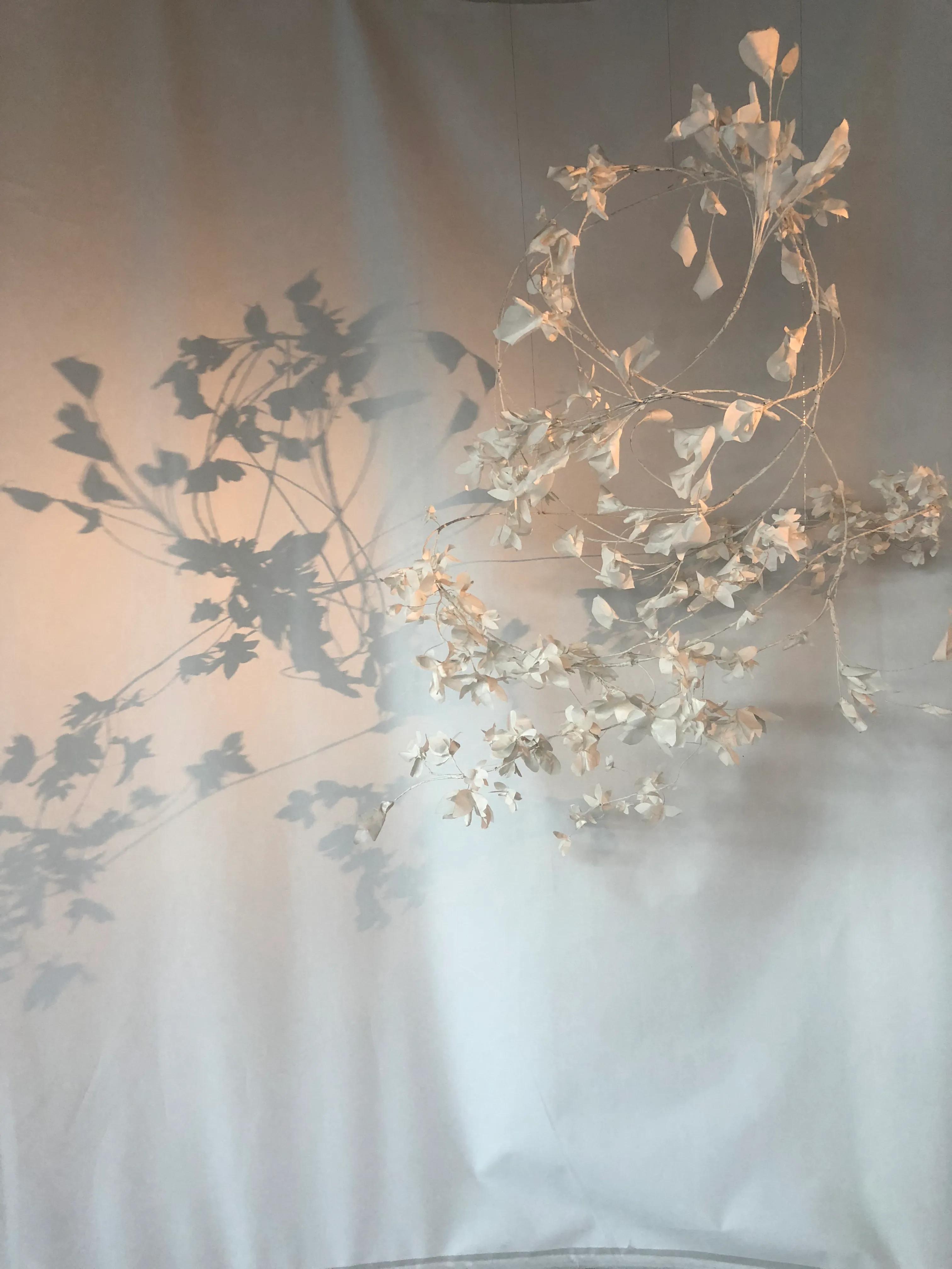 奉贤金海湖钓鱼,奉贤金海湖