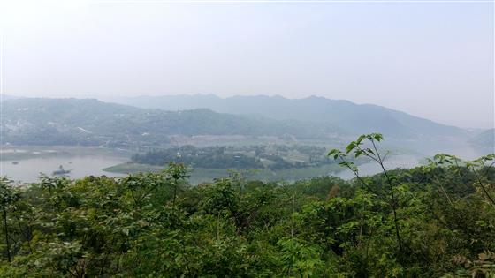 石斛生态园图片大全,重庆大足石斛基地