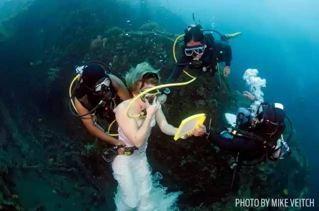 自由潜水怎么玩,潜水20个基本技巧