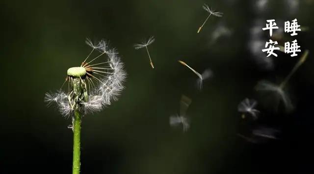 梁冬五个令人心盲的道理,梁冬对话经典语录