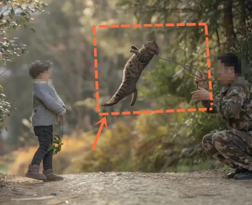 用绳栓猫头抛猫拽猫!还称自己爱猫?求求你做个人吧!