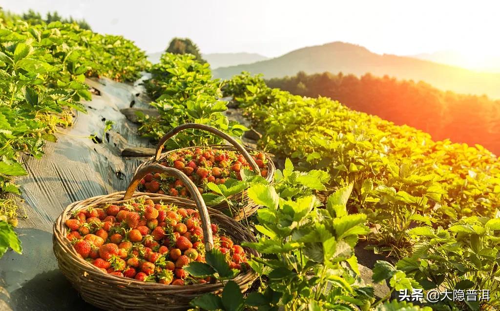 云南必去的10个宝藏打卡地,云南宝藏打卡圣地