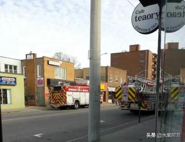 国际出行攻略,新西兰旅游攻略租车