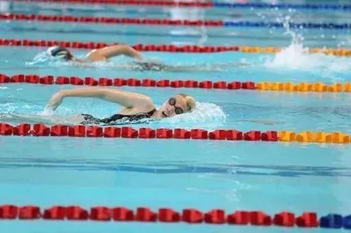 上海大学真正实力如何,上海大学被低估的专业排名