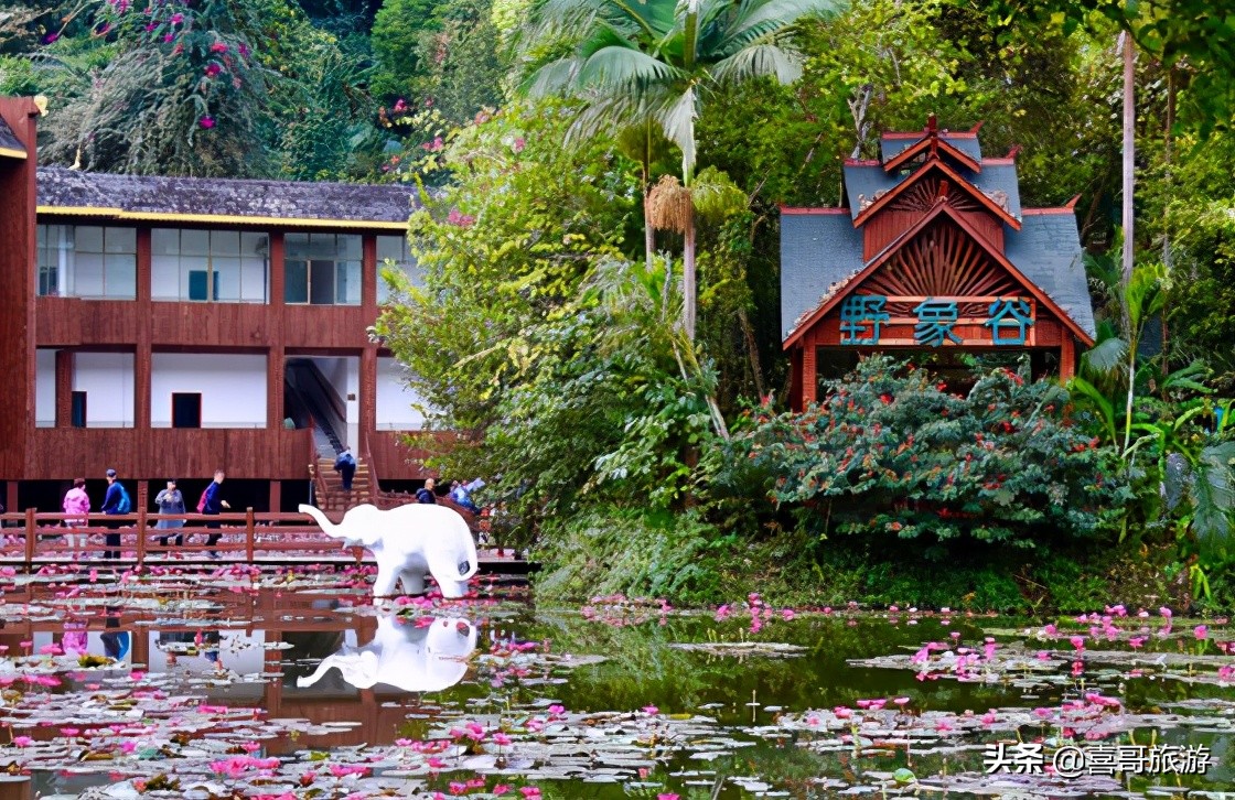西双版纳傣族自治州旅游攻略路线,西双版纳傣族自治州勐腊县自驾游
