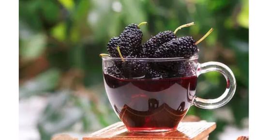 受疫情影响桑葚无人问津，雅大烤酒设备教您足不出户酿美酒