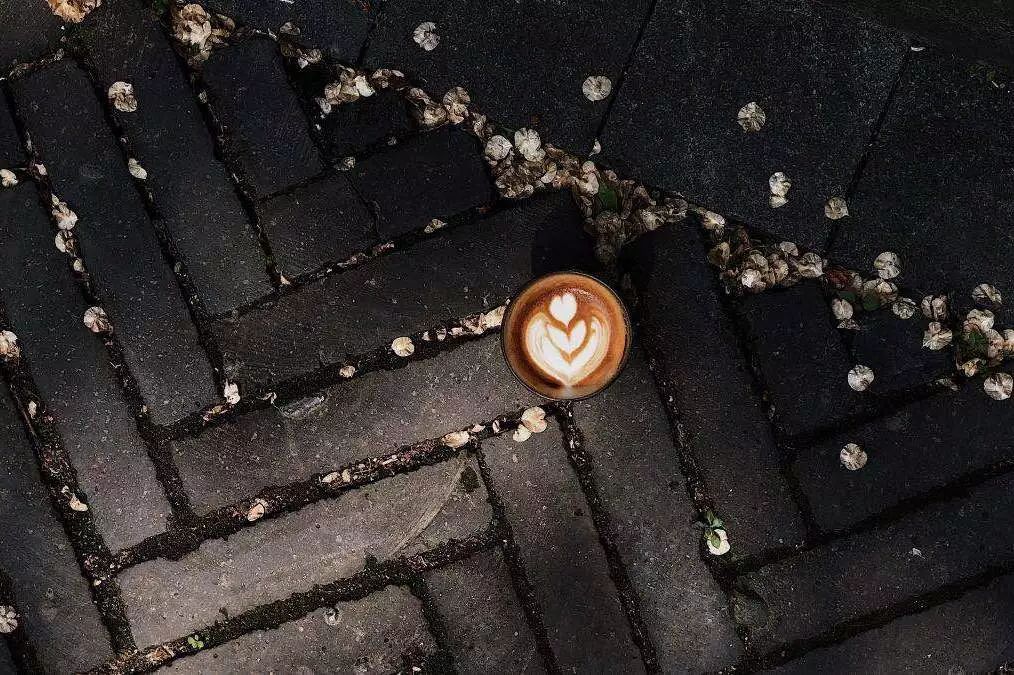 成都咖啡排行榜前十名,咖啡图鉴大全电子书