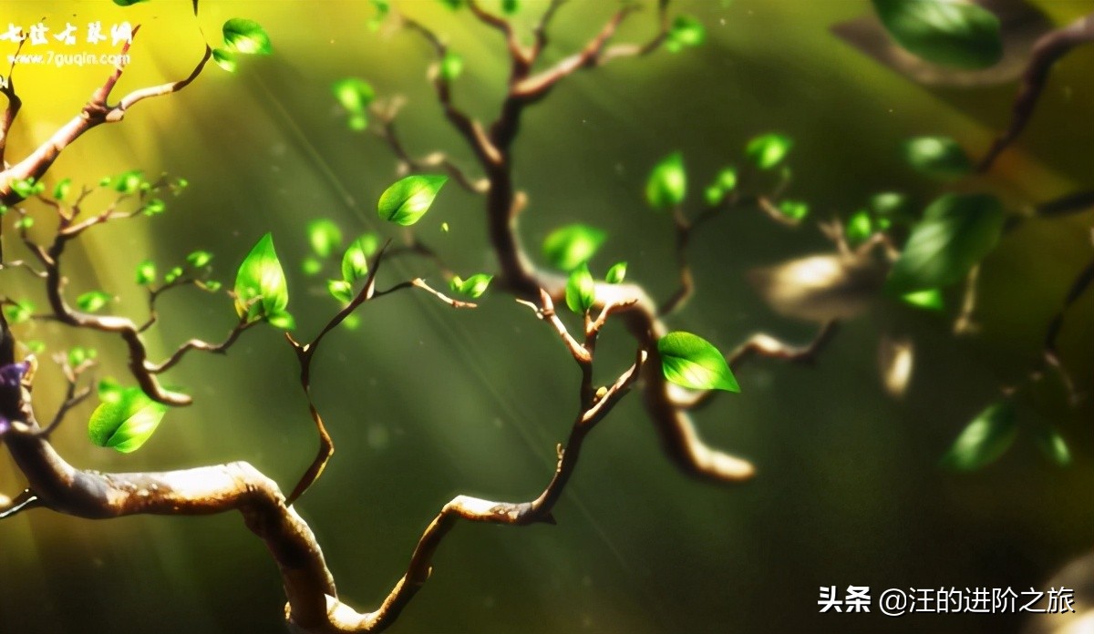 遇见余世维最新视频,余世维感情