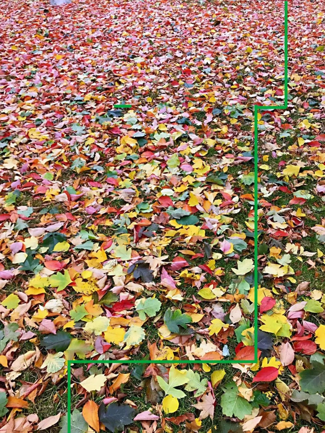 快乐和痛苦并不是反义词,痛苦的反义词是不是欢乐