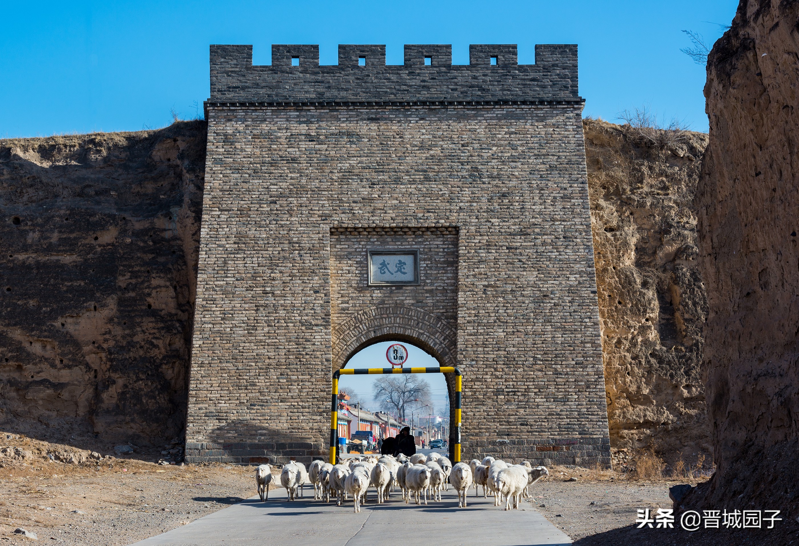 骄萌的毛驴洁白的羊群率真的老汉，看冬日的右玉古城阳光明媚