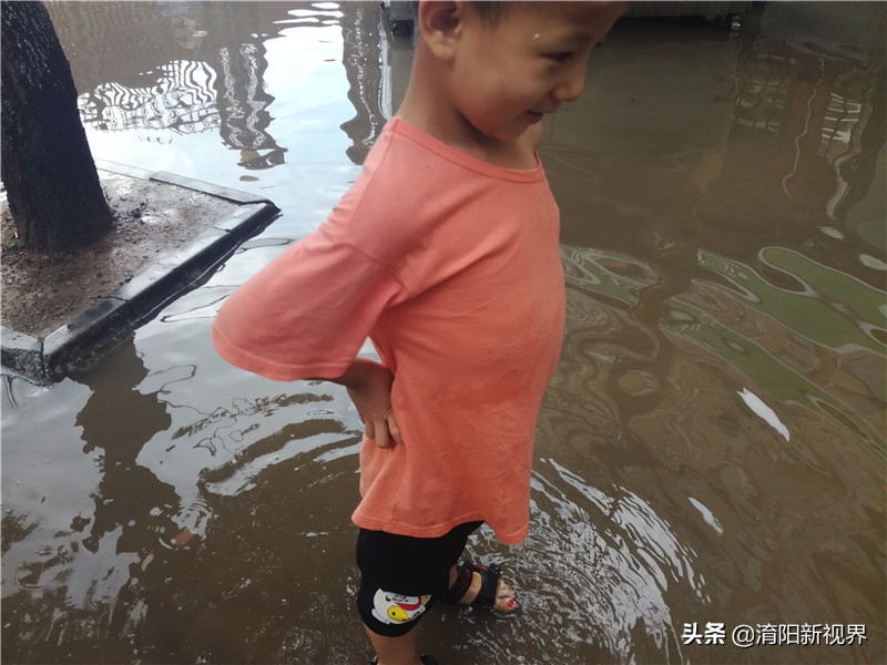 南阳八月七日下午这场雨，说来就来也不给你打个招乎