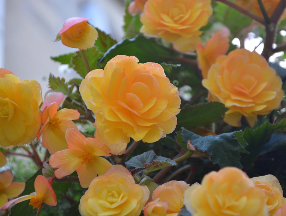 当男人沉默的时候,女人这样做,他会更爱你