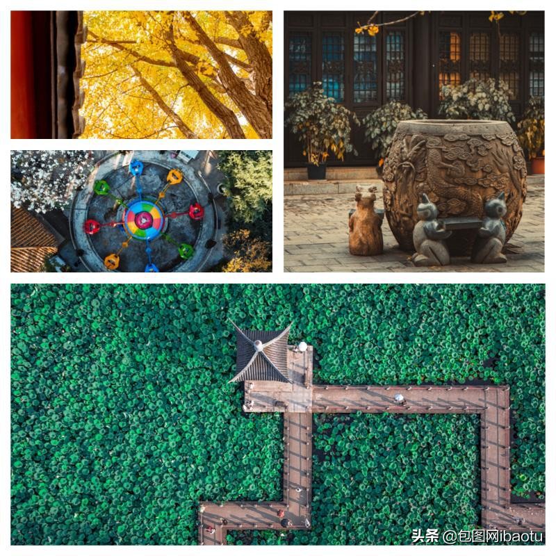 新魔爪稳定器,包图网地图