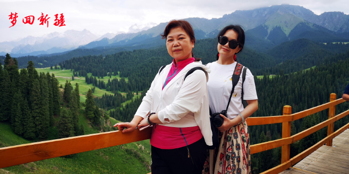 梦回新疆梦回拉萨,梦回伊宁草原视频