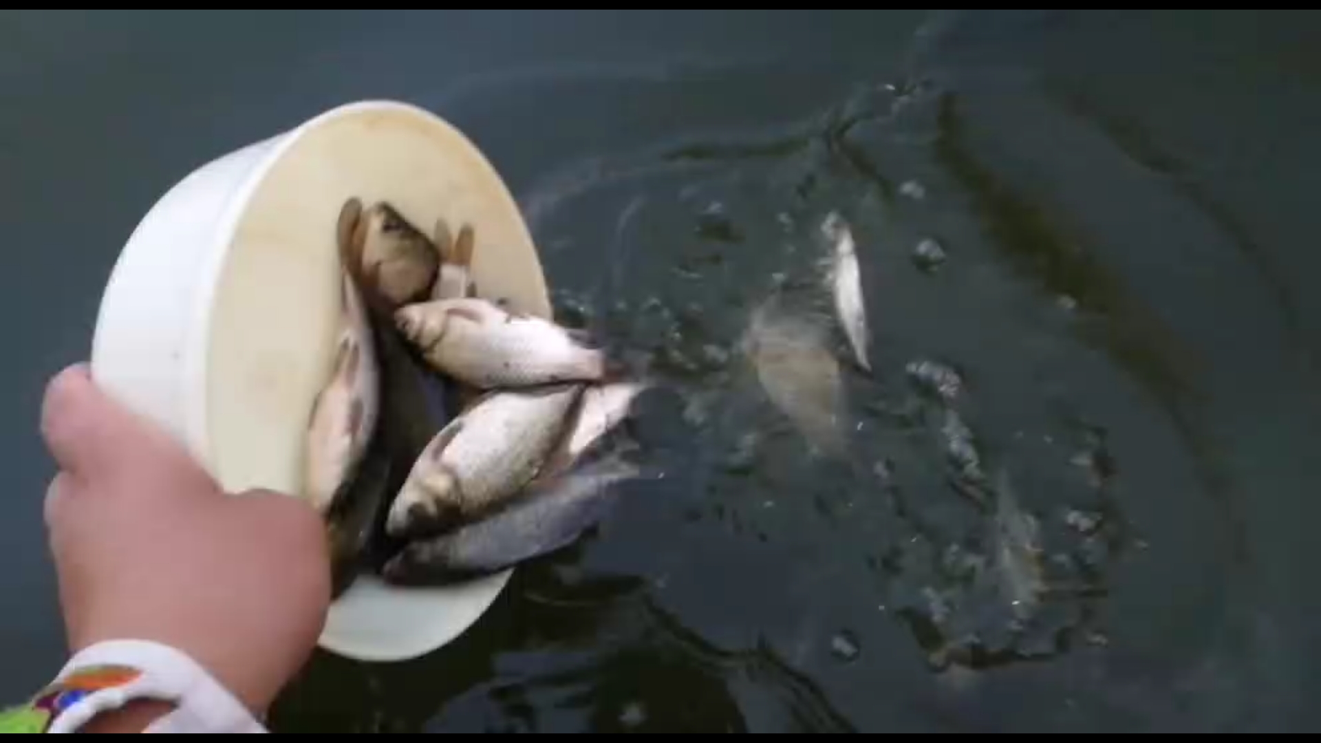 钓鱼为什么鱼线容易脱钩,钓鱼切线跑鱼怎么办