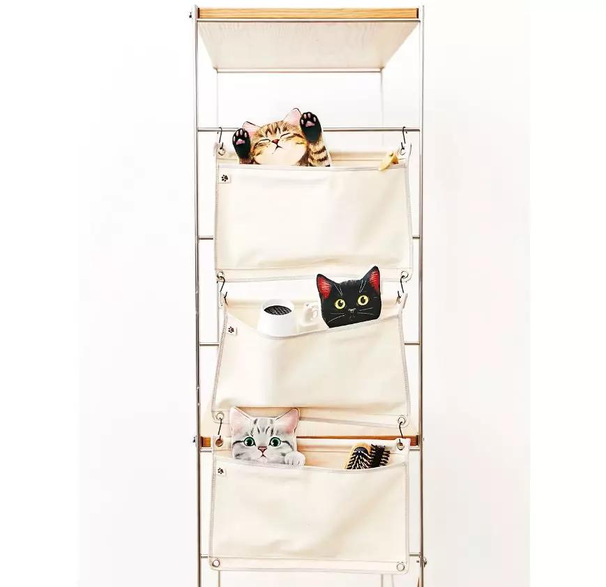 日本人又来骗猫奴们的钱啦！但我心甘情愿掏钱了！