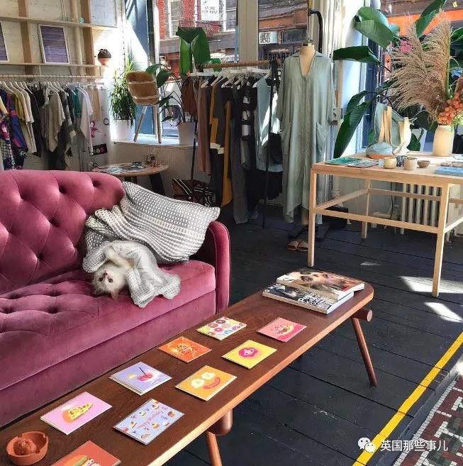 老佛爷的猫继承多少遗产,老佛爷去世后财产留给了一只猫