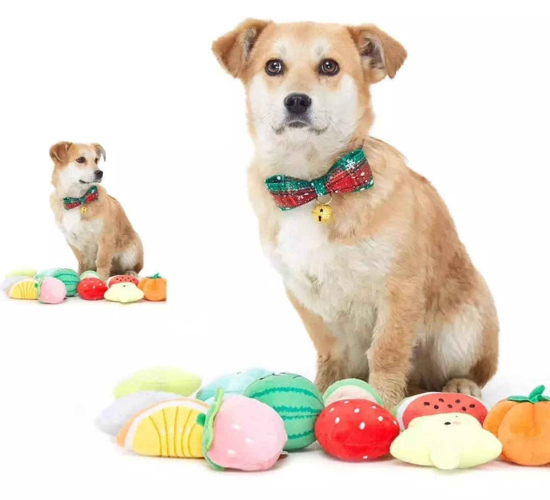 给它们一个家|线上宠物领养日,201903101