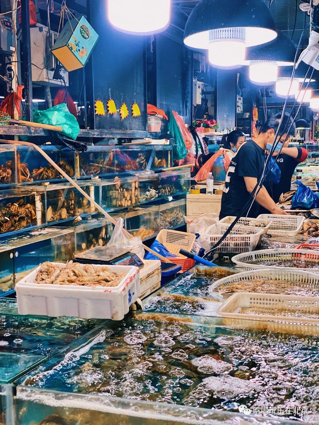 朝阳区海鲜市场,北京朝阳区海鲜市场
