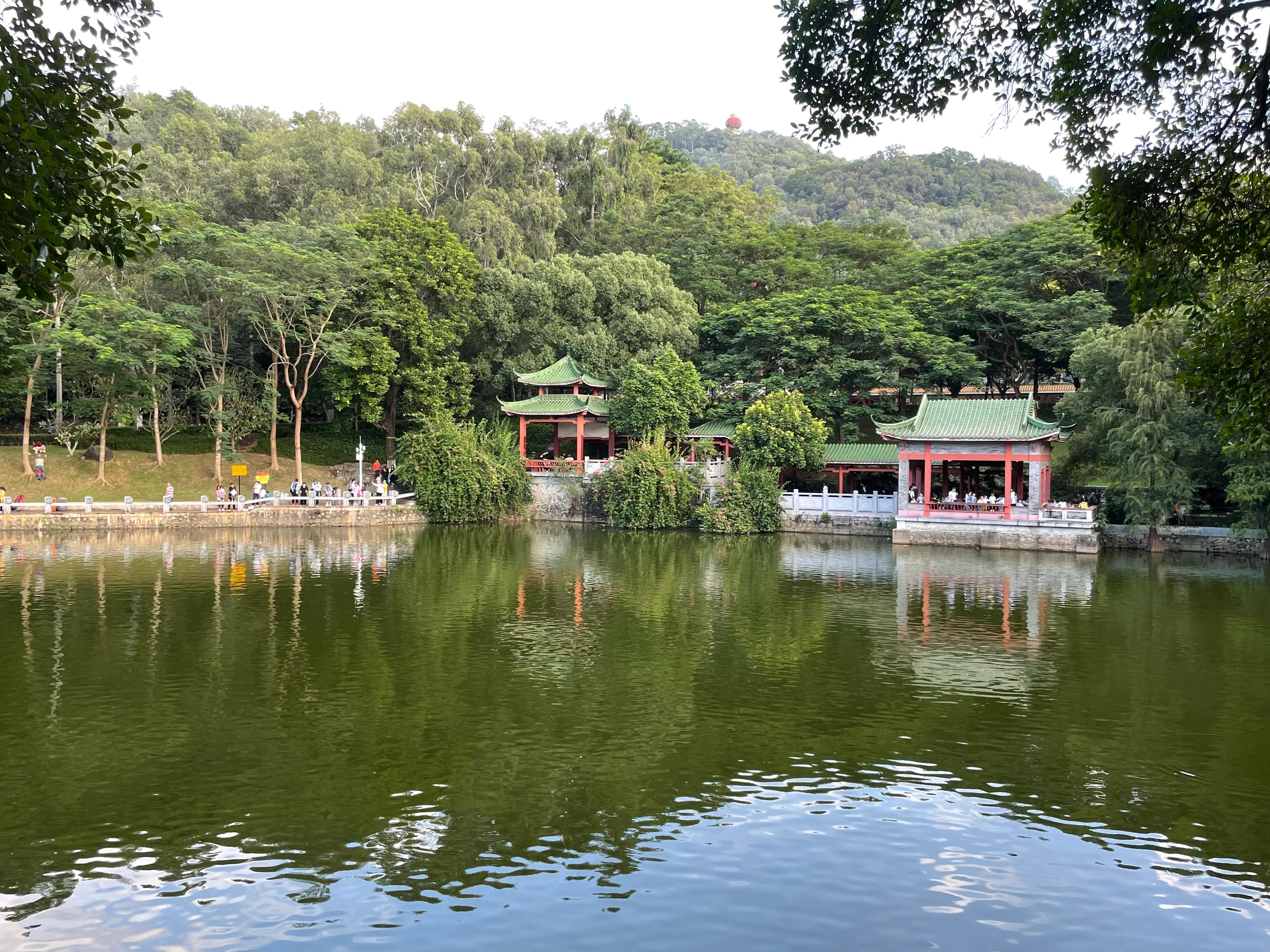 东莞旗峰公园爬山打卡,东莞人的公园