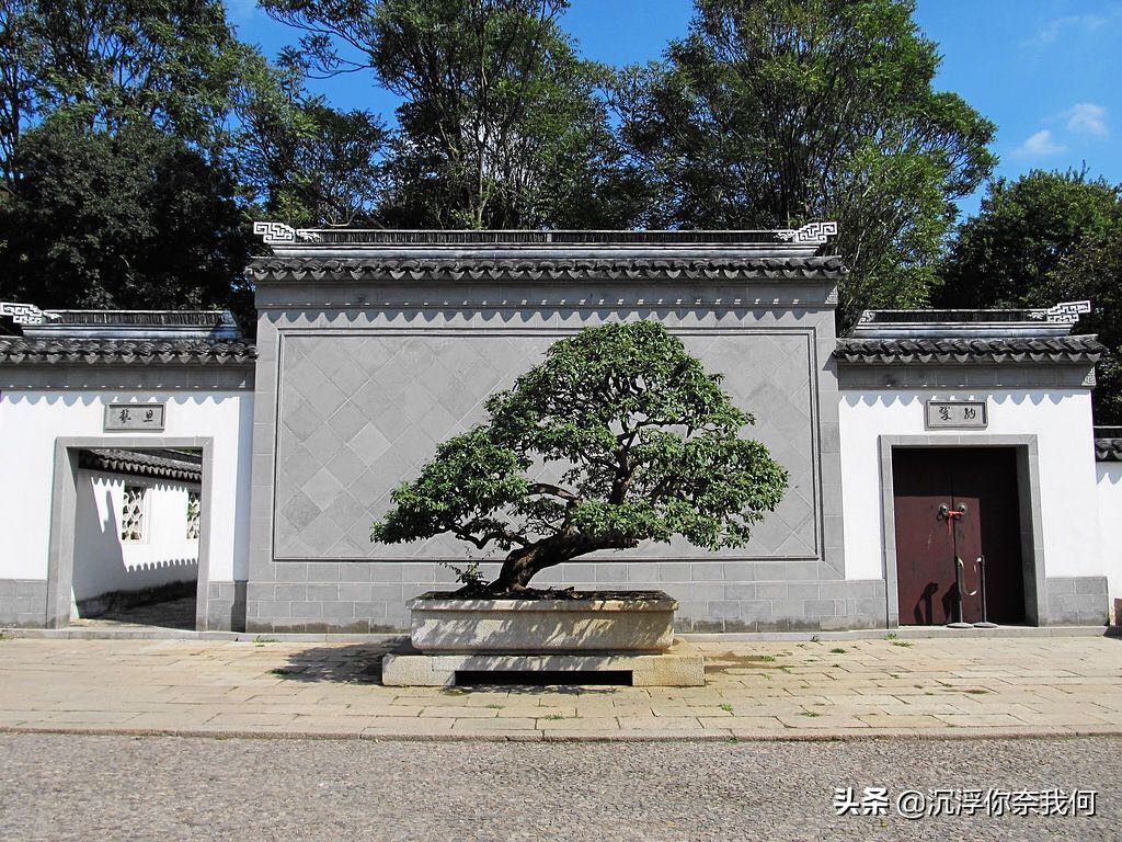 虎丘吴中第一山,虎丘和虎丘山