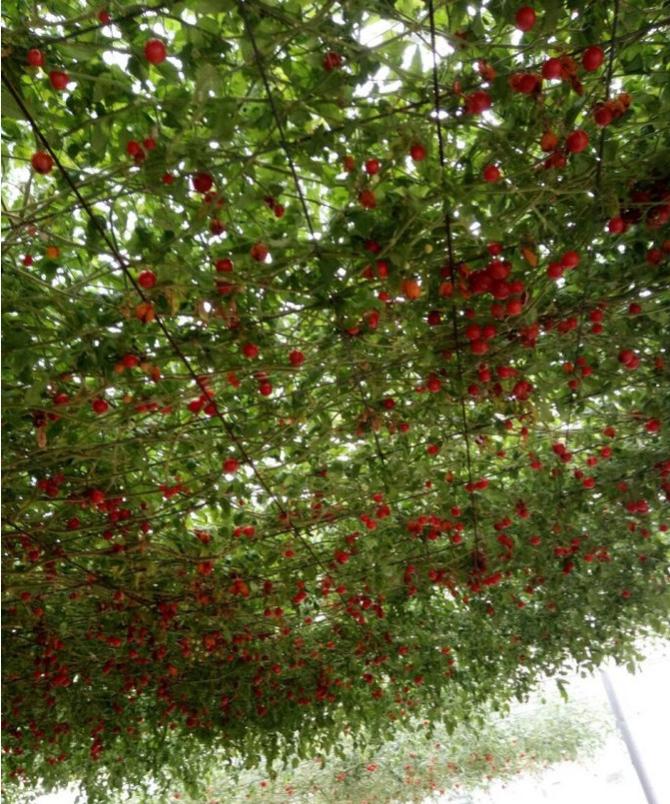 珠海市金湾区十大旅游景点,珠海市南水镇有哪些旅游景点