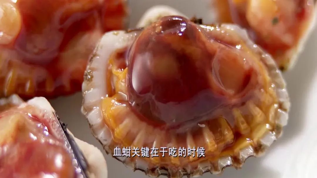 蛤蜊、蛏子、毛蚶、蚬子，那些好吃的小贝壳，今天一次搞清楚